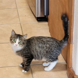 Photo of Quincy