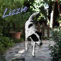 Thumbnail photo of Lizzie #2