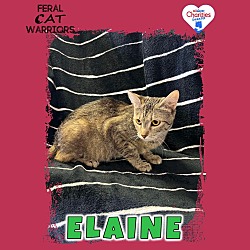 Photo of Elaine