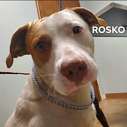 Photo of Rosko