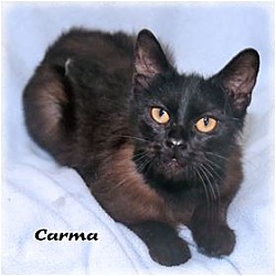 Photo of Carma