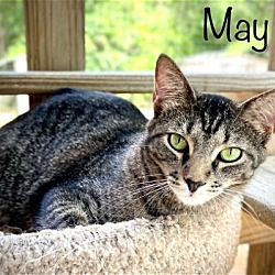 Thumbnail photo of May #2