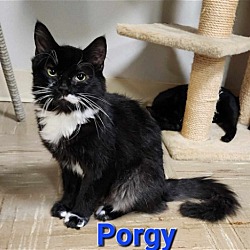 Photo of Porgy