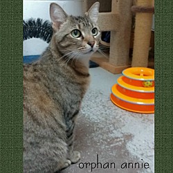 Thumbnail photo of Orphan Annie #4