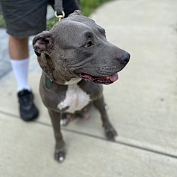 Photo of Cookie G.