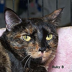 Thumbnail photo of Ruby B #1