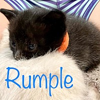 Photo of Rumple