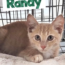 Thumbnail photo of Randy #3