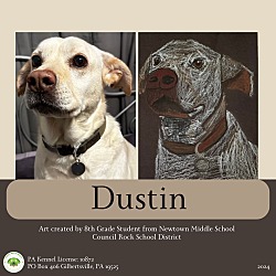 Thumbnail photo of Dustin #1