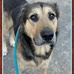 Photo of SPIKE