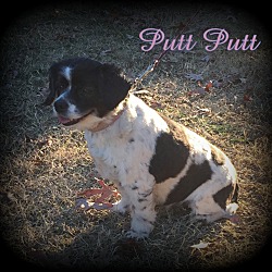 Thumbnail photo of Putt Putt #2