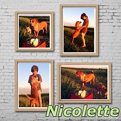 Photo of Nicolette
