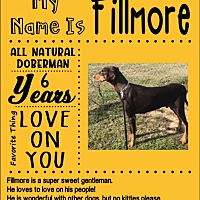sweet home doberman rescue