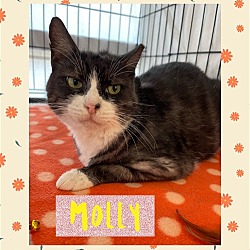 Photo of Molly