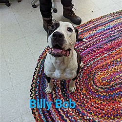 Photo of Billy Bob