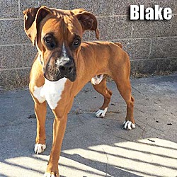 Thumbnail photo of Blake #2
