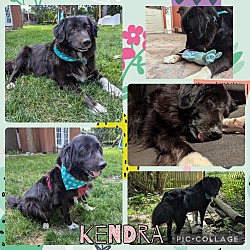 Photo of Kendra