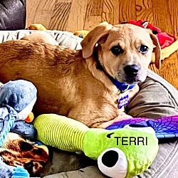 Thumbnail photo of Terri #2