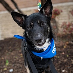 Photo of Axel SB