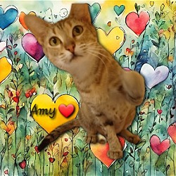 Photo of Amy #nature-lover