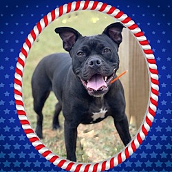 Photo of Roxy