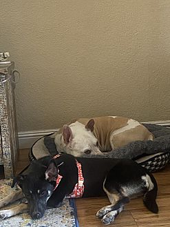 Mya Photo #1