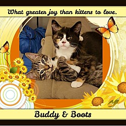 Photo of Buddy & Boots