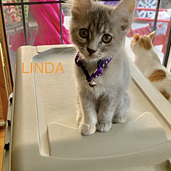 Photo of Linda