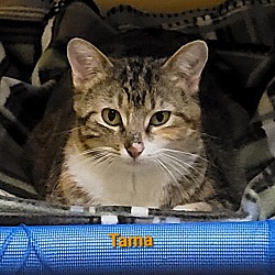 Photo of Tama
