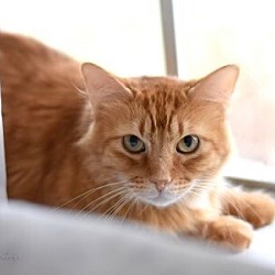 Photo of Salvatore  (aka Big Sal)