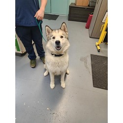 Photo of GHOST