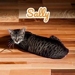 Thumbnail photo of Sally #4