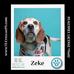 Thumbnail photo of Zeke 022824 #2