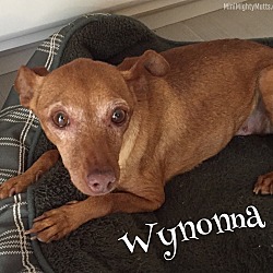 Photo of Wynonna