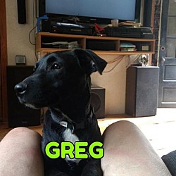 Thumbnail photo of Greg #3