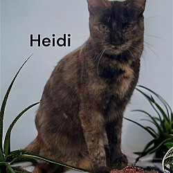 Photo of Heidi