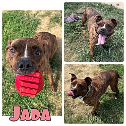 Photo of Jada