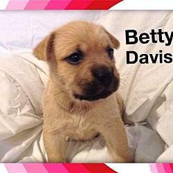 Thumbnail photo of Betty Davis #2
