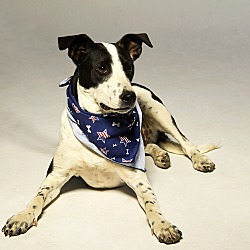 Photo of Abner