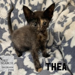 Thumbnail photo of Thea #2