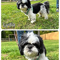 Photo of Lydia