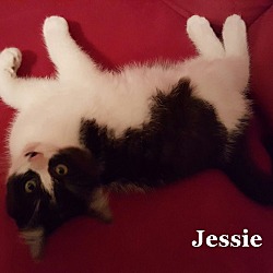 Thumbnail photo of Jessie #2