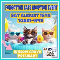 adopt a pet