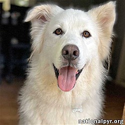 Photo of Mattie in CT - Joyful, Outgoing Girl!