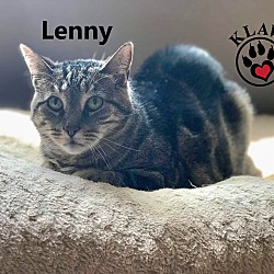 Thumbnail photo of Lenny #4