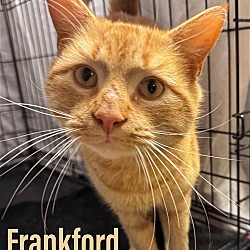 Photo of Frankford, Willow Grove PA (FCID 04/02/2024-156)