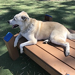 Photo of Charlotte 