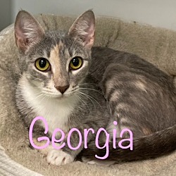 Photo of Georgia