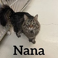 Photo of Nana