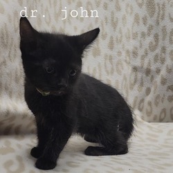 Thumbnail photo of Dr. John #2